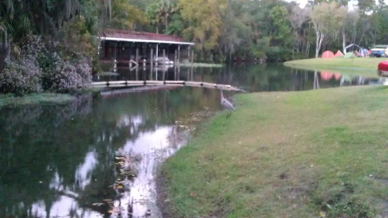 Wekiva Falls campgrounds